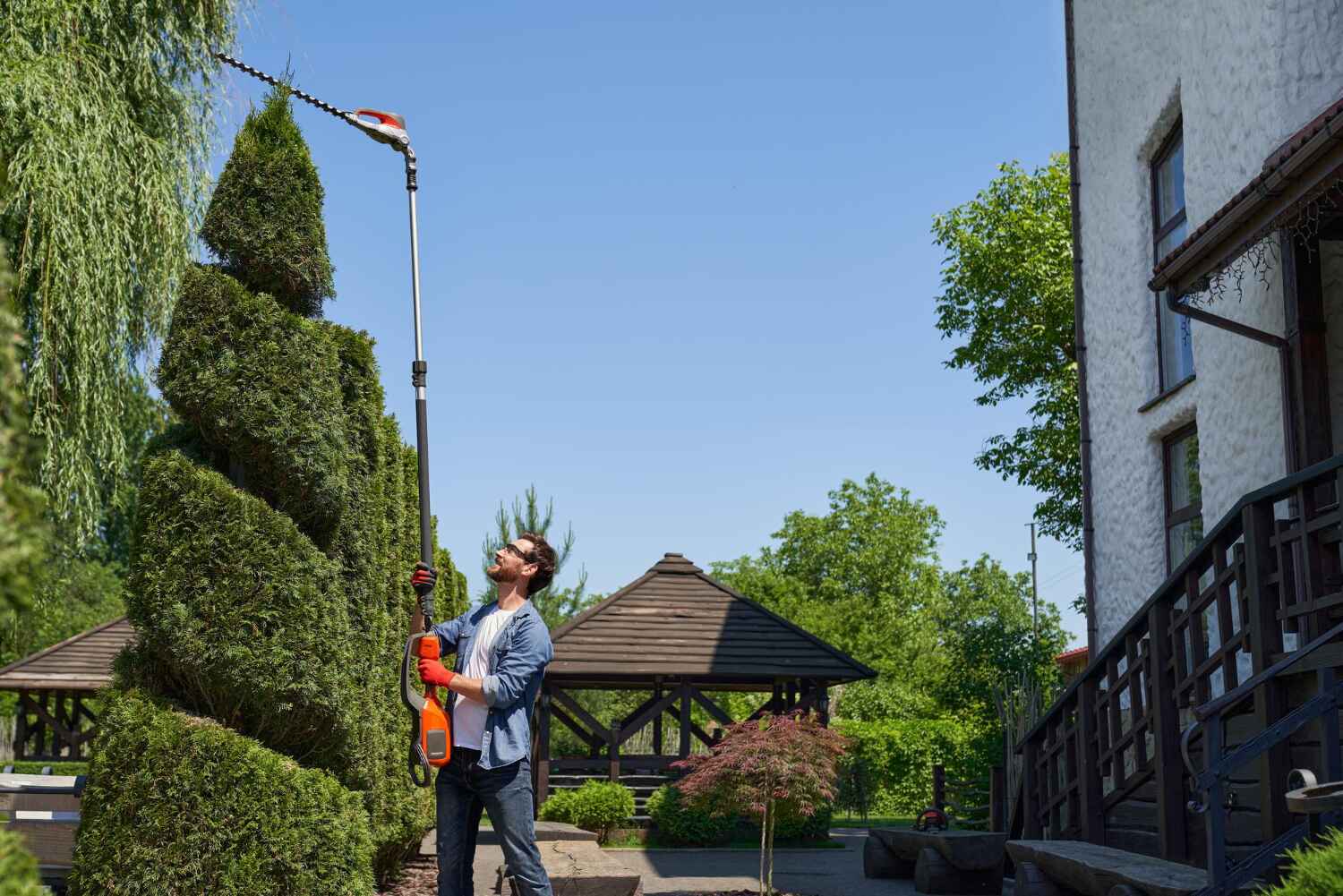 Tree Branch Trimming